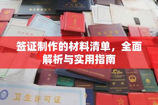 沣东签证制作的材料清单，全面解析与实用指南